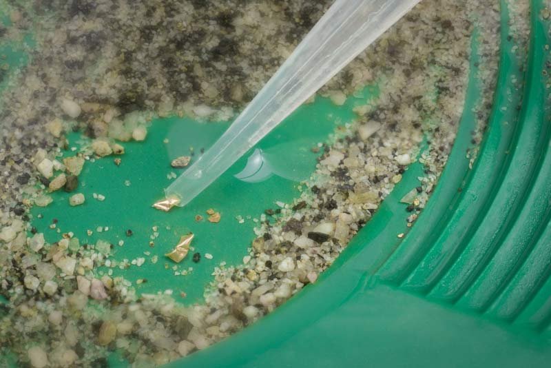 6Pc Display- 50 Pc Plastic Dropper