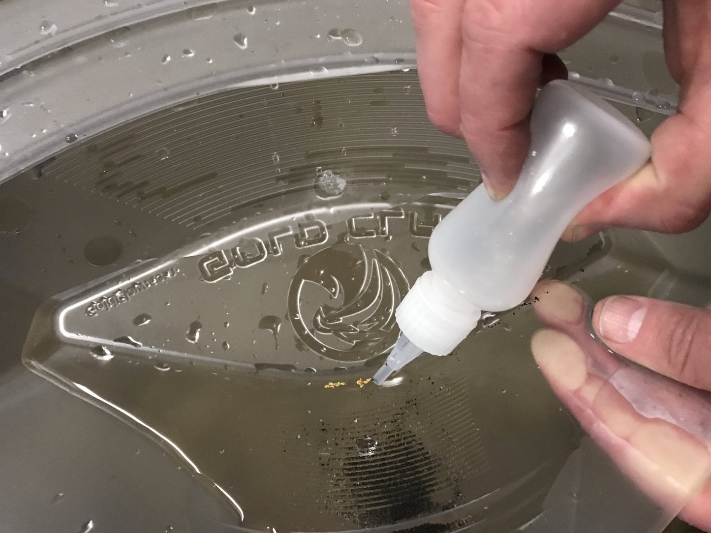 Gold Claw - Speed Pan - Clear